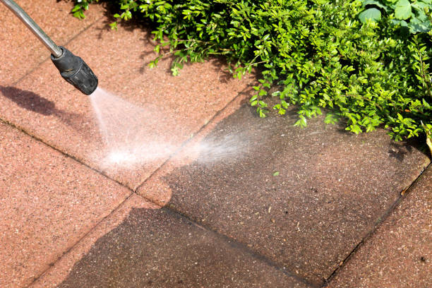 Local Pressure Washing Services in Vienna Bend, LA